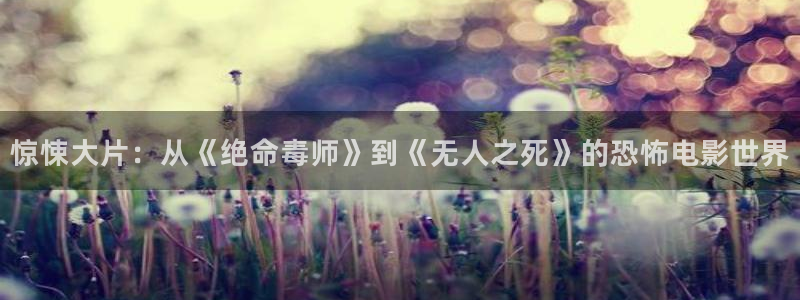 西瓜视频免费高清电视剧