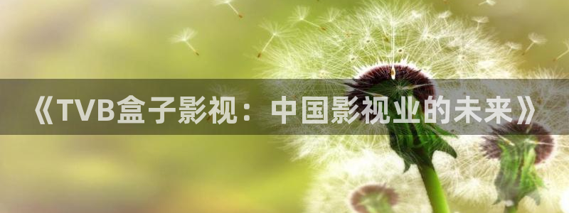 西瓜电影妈妈的朋友