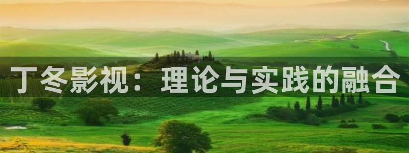 何以笙箫默西瓜影院